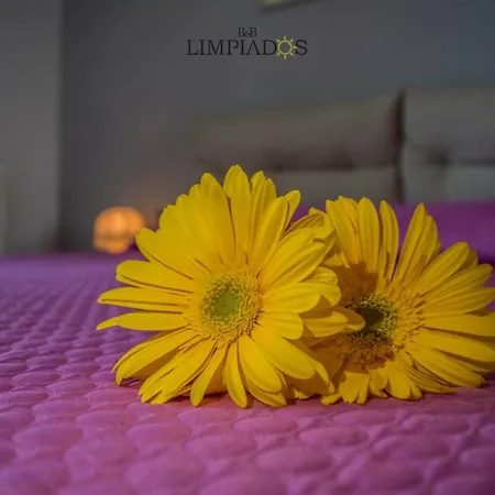 Bed & Breakfast Limpiados